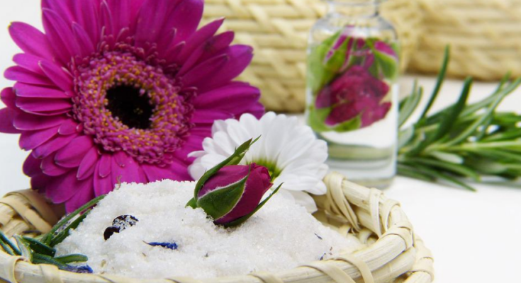 Wellness Hotel Fleesensee