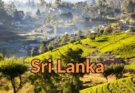 Reisebericht: Ein Abenteuer in Pimburattewa, Sri Lanka