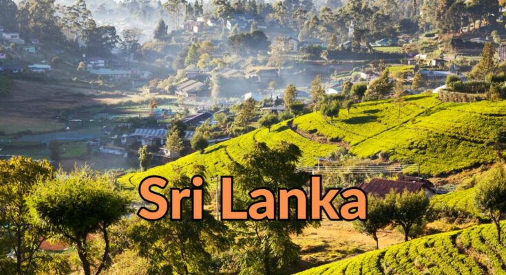 Reiseberericht Sri Lanka